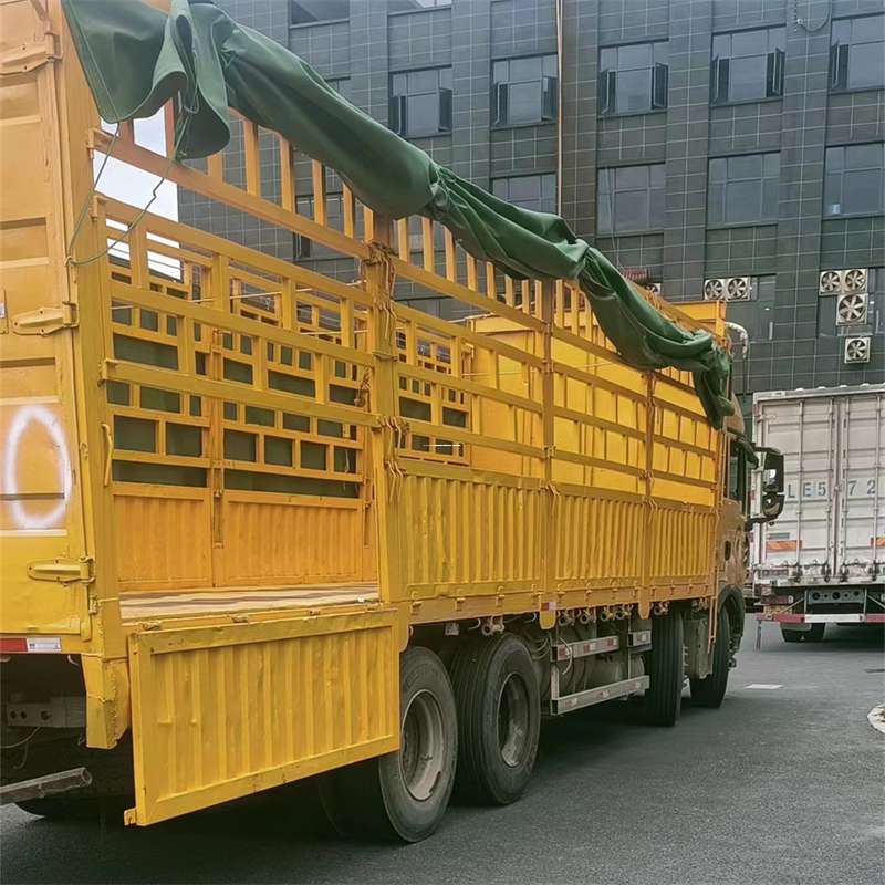 肥东至宜宾货运专线一站式物流服务，让货物畅行无忧