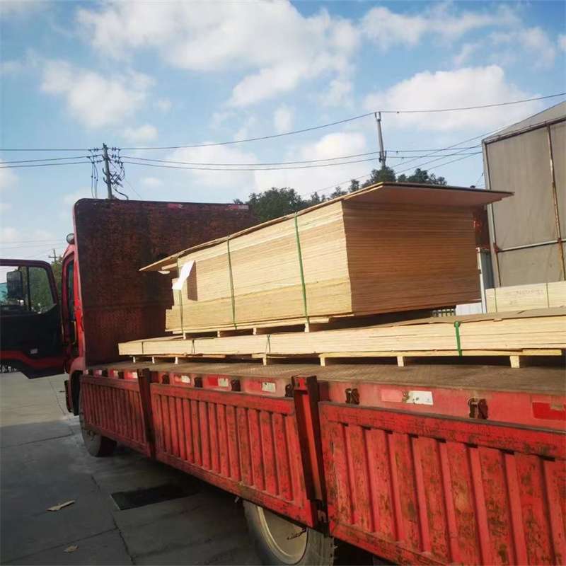 肥东到河北物流公司——一站式服务，让货运更便捷